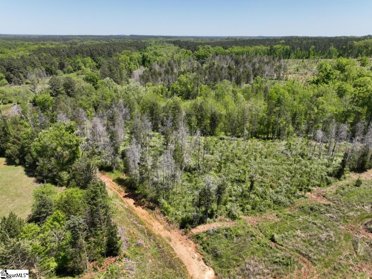 0 Sawney Road Calhoun Falls, SC 29628 - Photo 6 of 32 Gallery Image 6