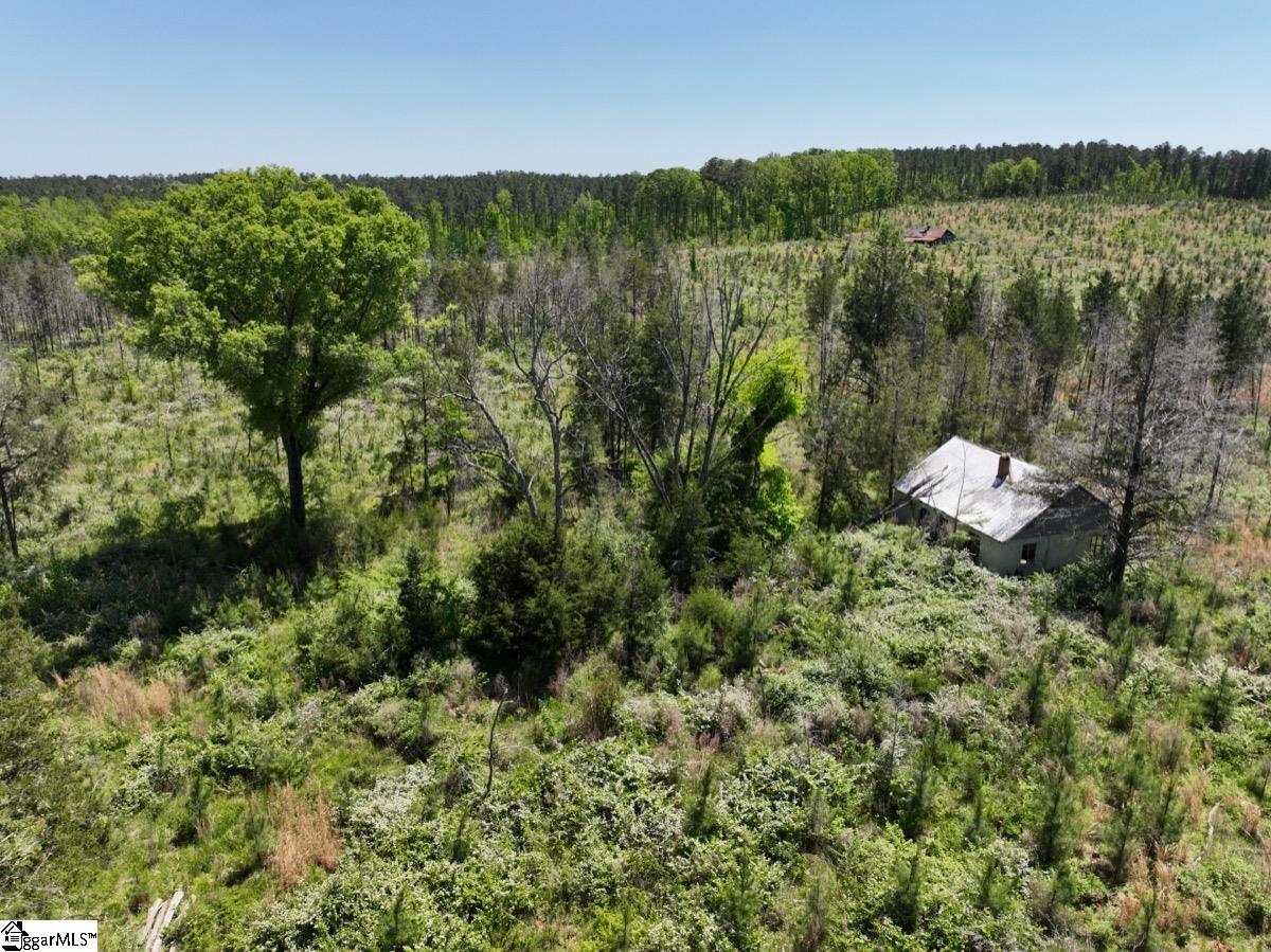 0 Sawney Road Calhoun Falls, SC 29628 - Photo 8 of 32 Gallery Image 8