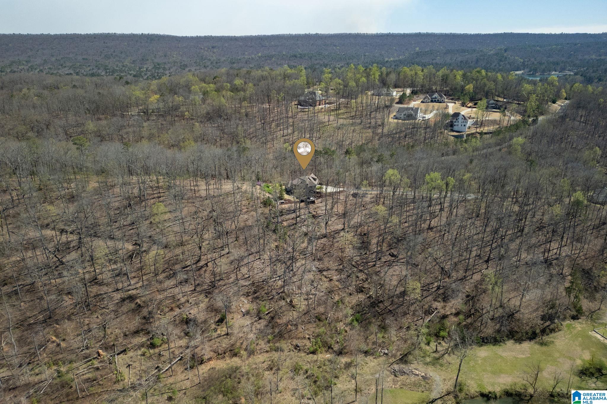 1045 Stagg Run Trail Pelham, AL 35124 - Photo 63 of 68