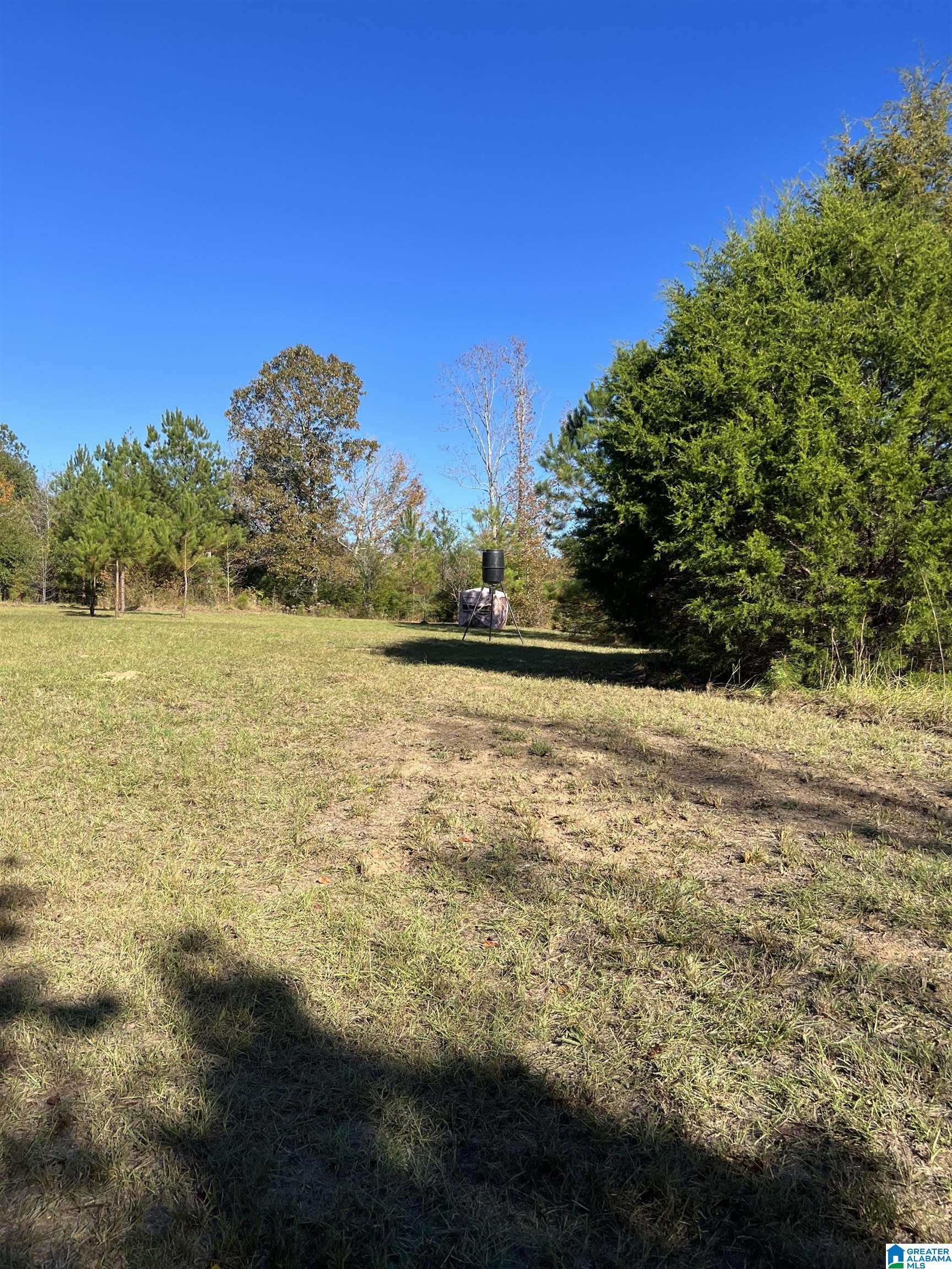 10908 Myers Road Moundville, AL 35474 - Photo 47 of 50