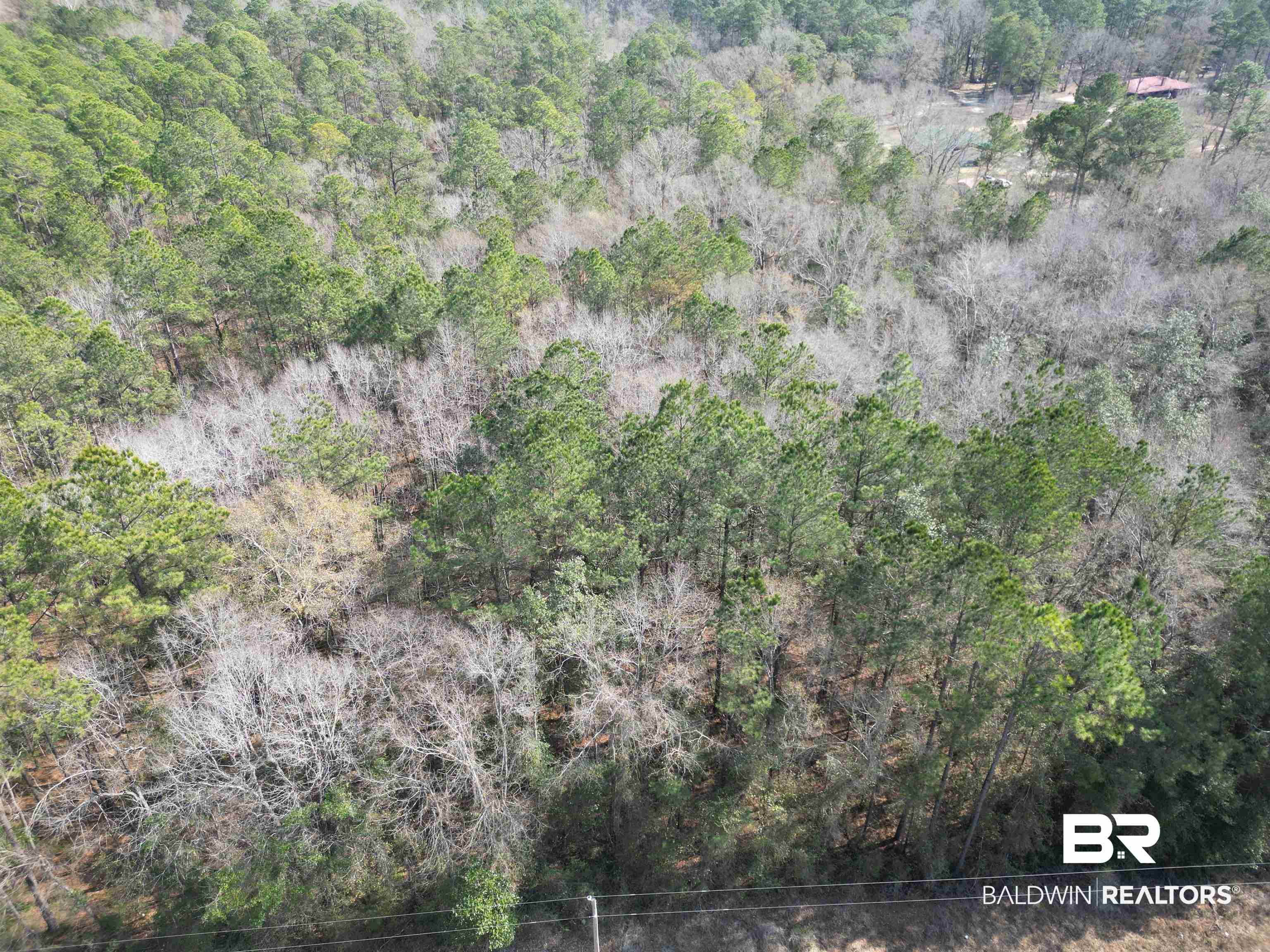 0 Highway 41 Range, AL 36473 - Photo 10 of 11 Aerial overview of property's location featuring a forest