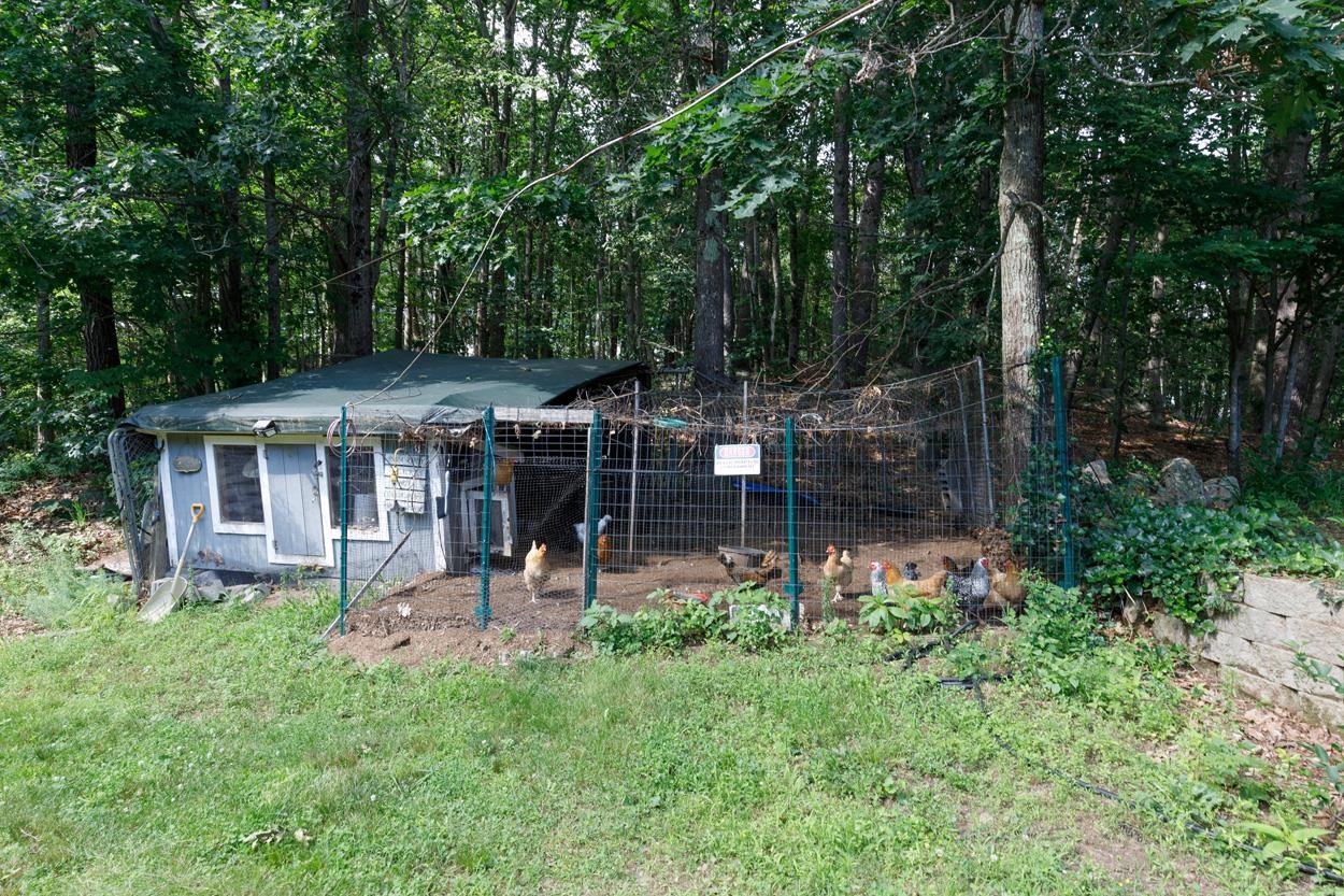 76 Hampstead Road Danville, NH 03819 - Photo 45 of 60 Gallery Image 45