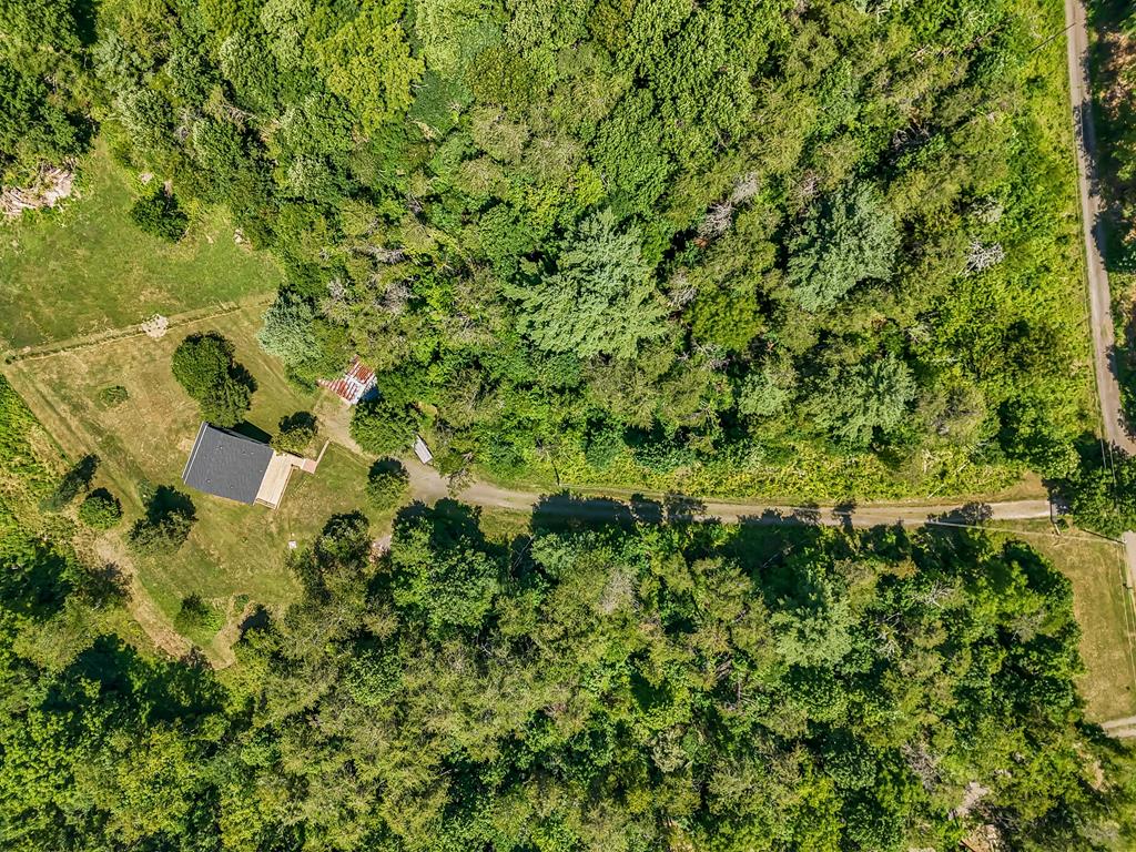 309 Timber Road Barren Springs, VA 24313 - Photo 61 of 66 Gallery Image 61