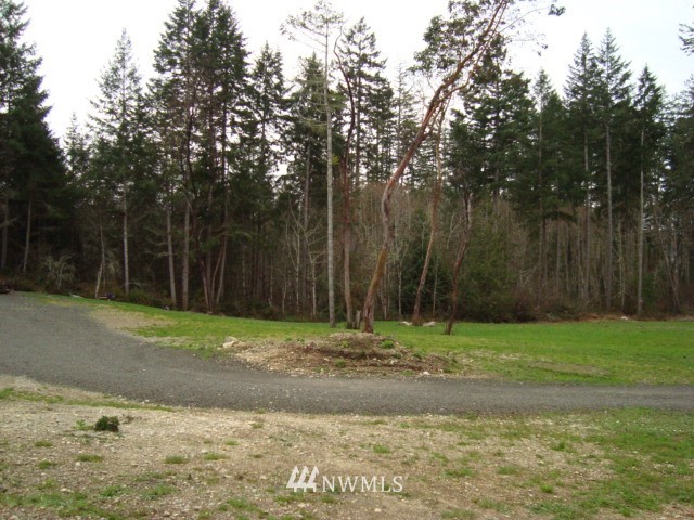 146 East Victor Road Belfair, WA 98528 - Photo 3 of 40