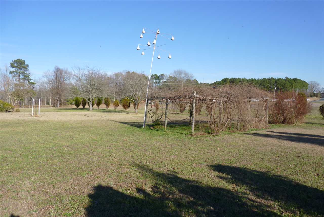 3836 Old Beulah Road Selma, NC 27576 - Photo 25 of 25 Grapevines