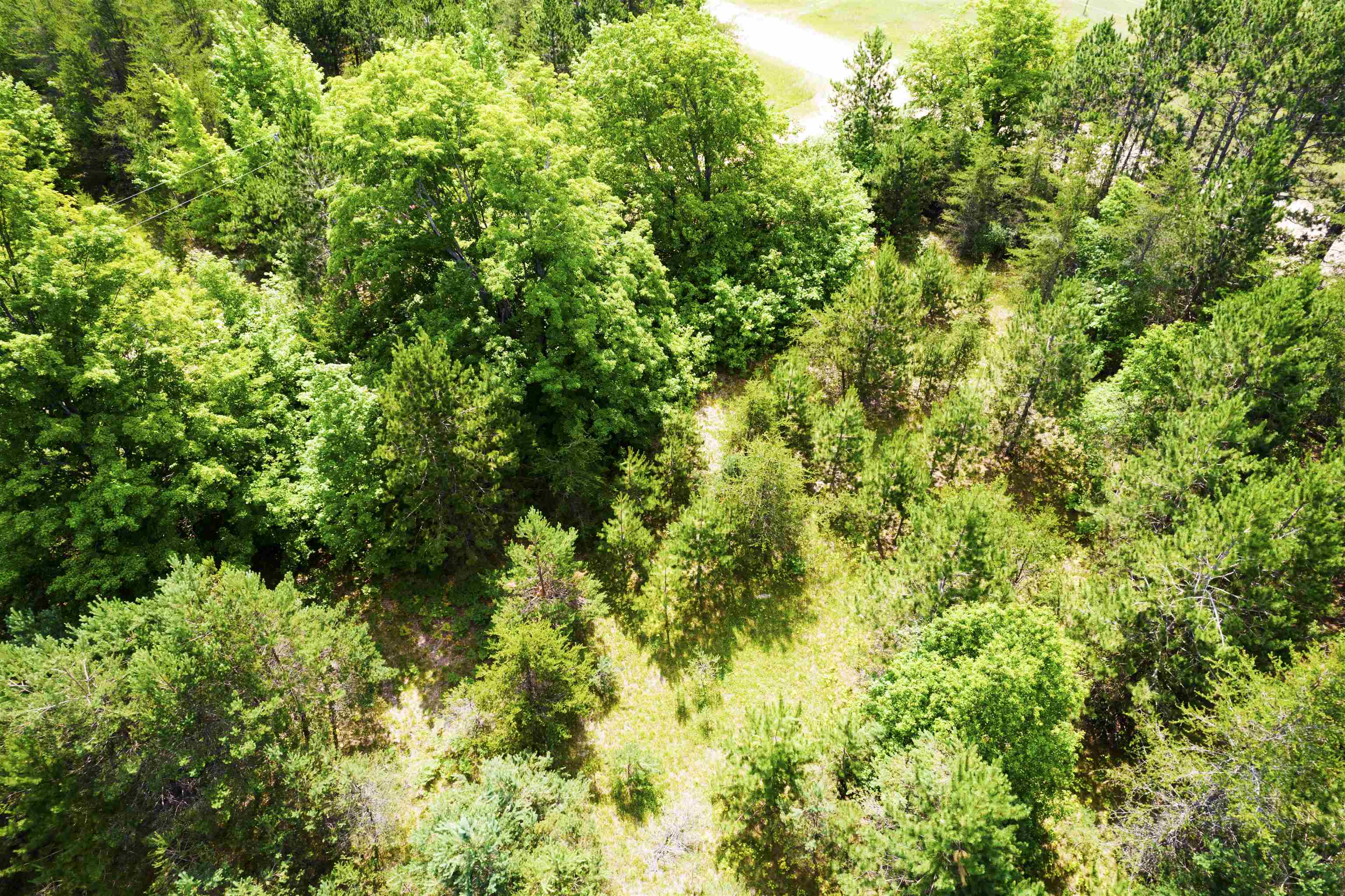 5483 Myers Road Northeast Kalkaska, MI 49646 - Photo 19 of 29 1913372-18.JPG