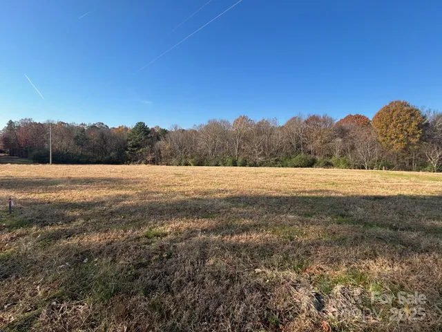 a view of a field with trees in the background