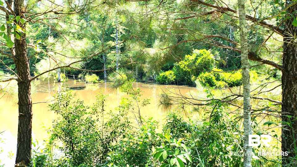 0 Bayou Road Bay Minette, AL 36507 - Photo 2 of 3