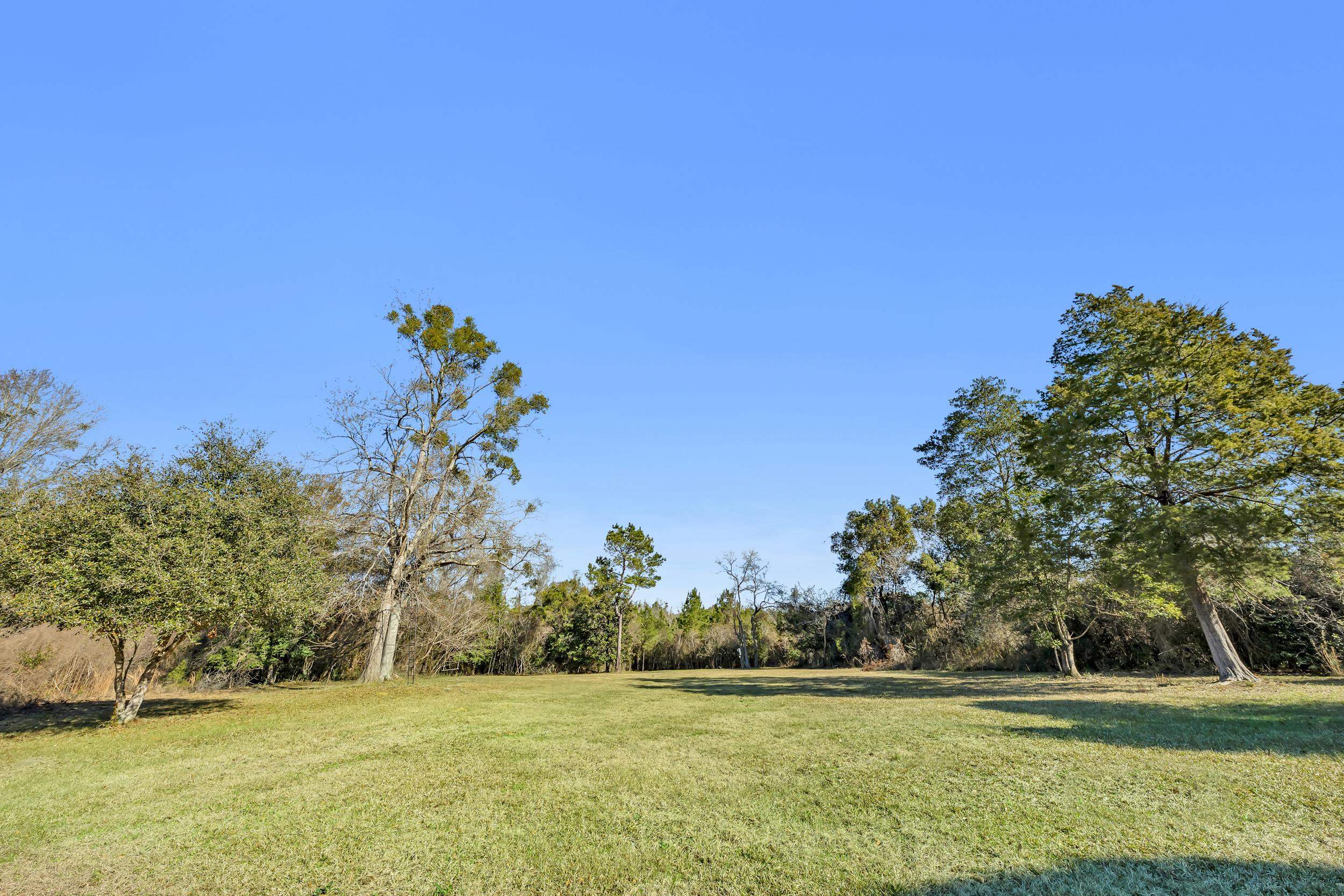 16691 Mosley Road Stapleton, AL 36578 - Photo 29 of 32 Yard