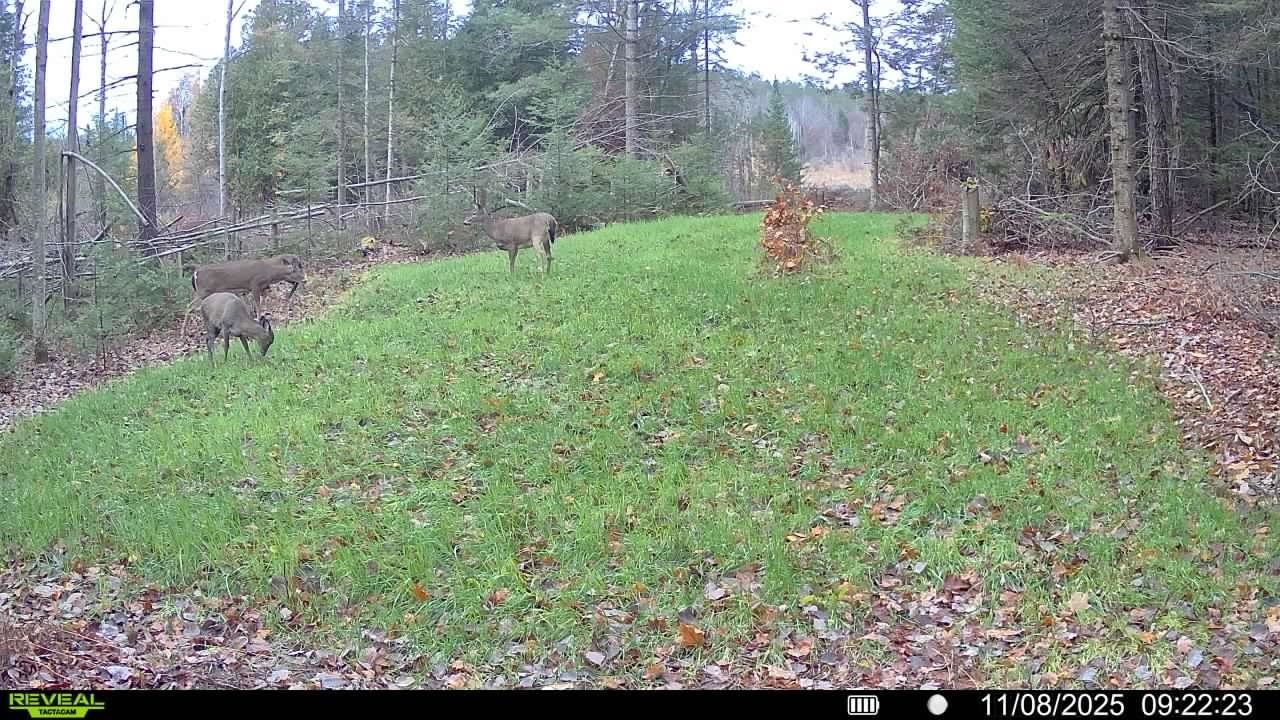 Vl South 27 Road Cadillac, MI 49601 - Photo 17 of 45