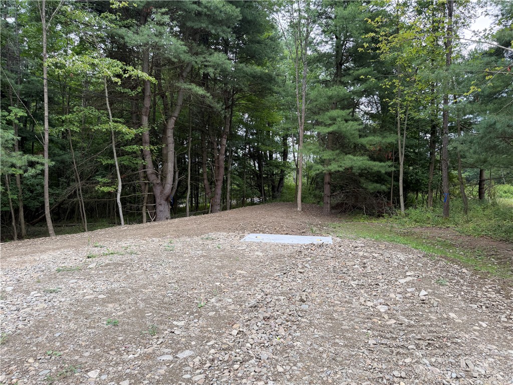 5279 South Church Road Cameron, NY 14819 - Photo 13 of 34 Gallery Image 13