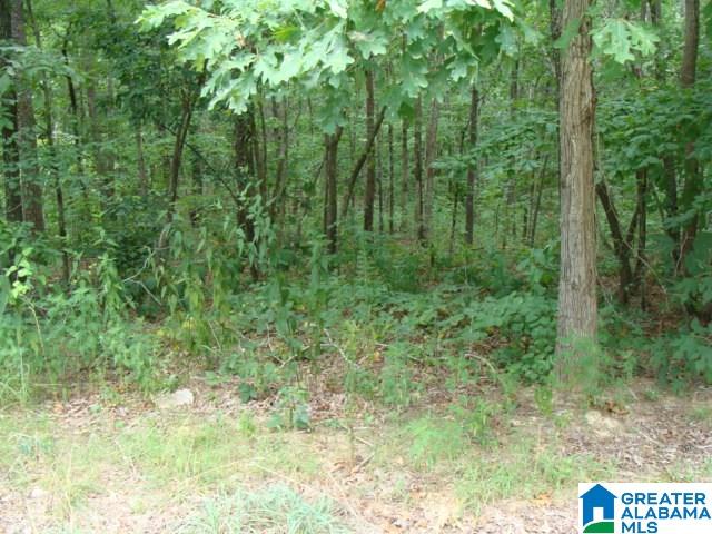 0 Alpine Circle, Unit 15 McCalla, AL 35111 - Photo 1 of 3