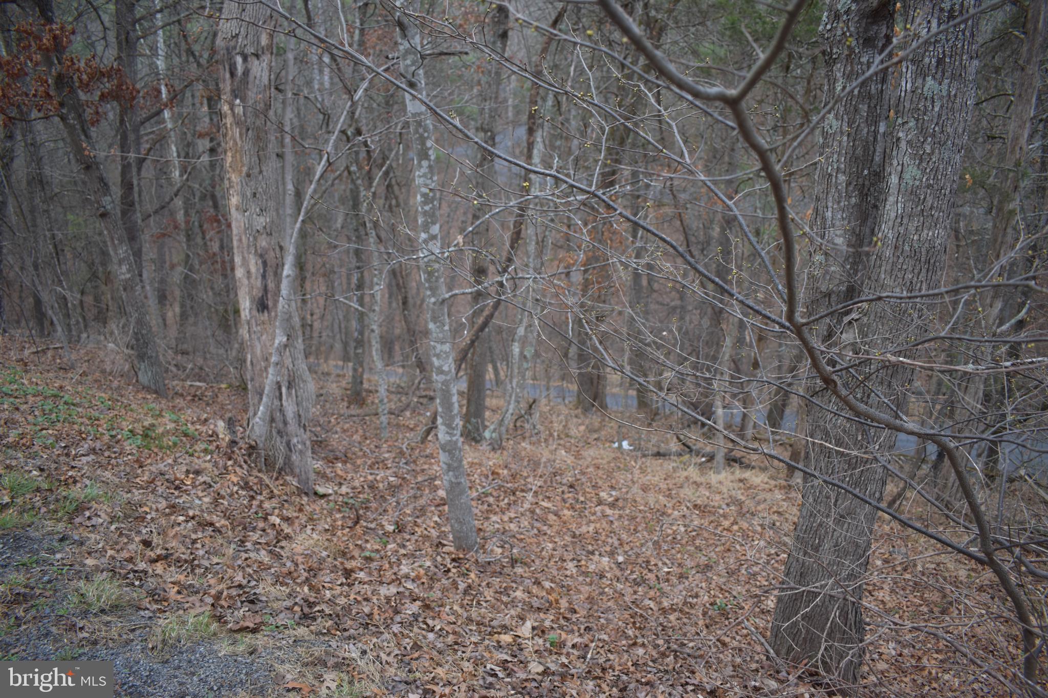 Anderson Road Mount Jackson, VA 22842 - Photo 2 of 6 a backyard of a house with lots of green space