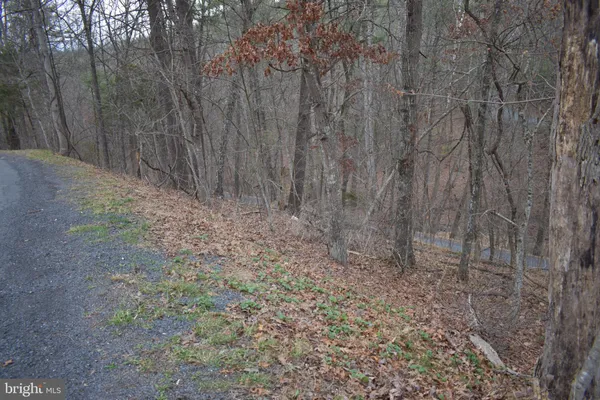 a view of small yard