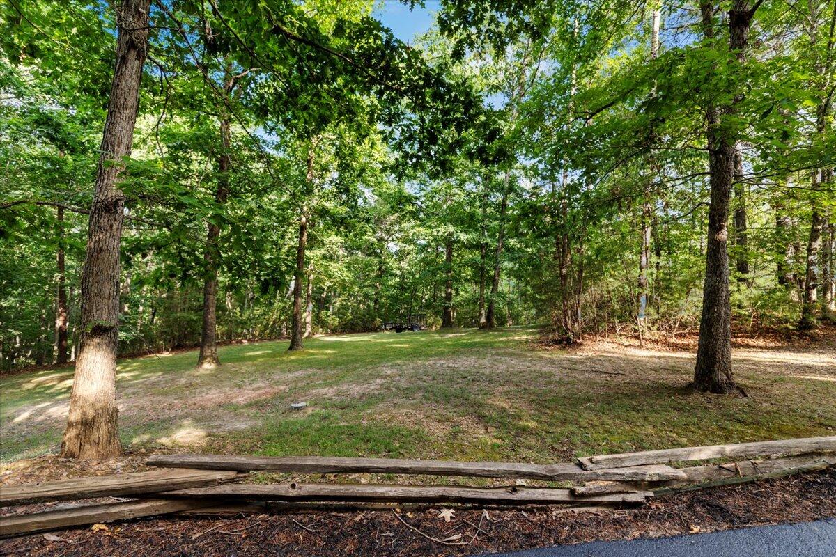 3045 New Ridge Road Elliston, VA 24087 - Photo 54 of 68 a view of a yard with a tree