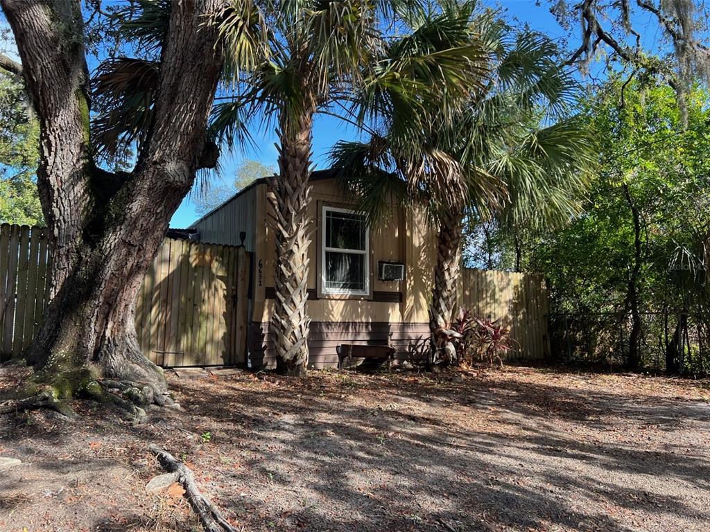 6631 Celeste Lane New Port Richey, FL 34653 - Photo 2 of 13 a view of a house with a tree