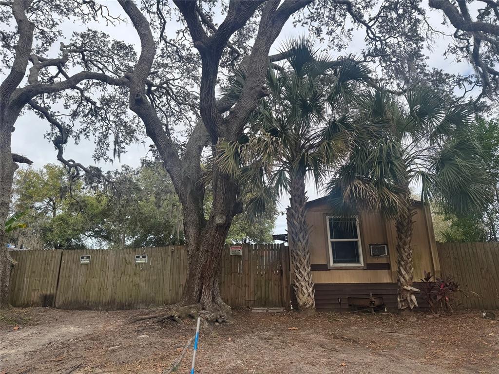 6631 Celeste Lane New Port Richey, FL 34653 - Photo 7 of 13 a front view of a house with garden