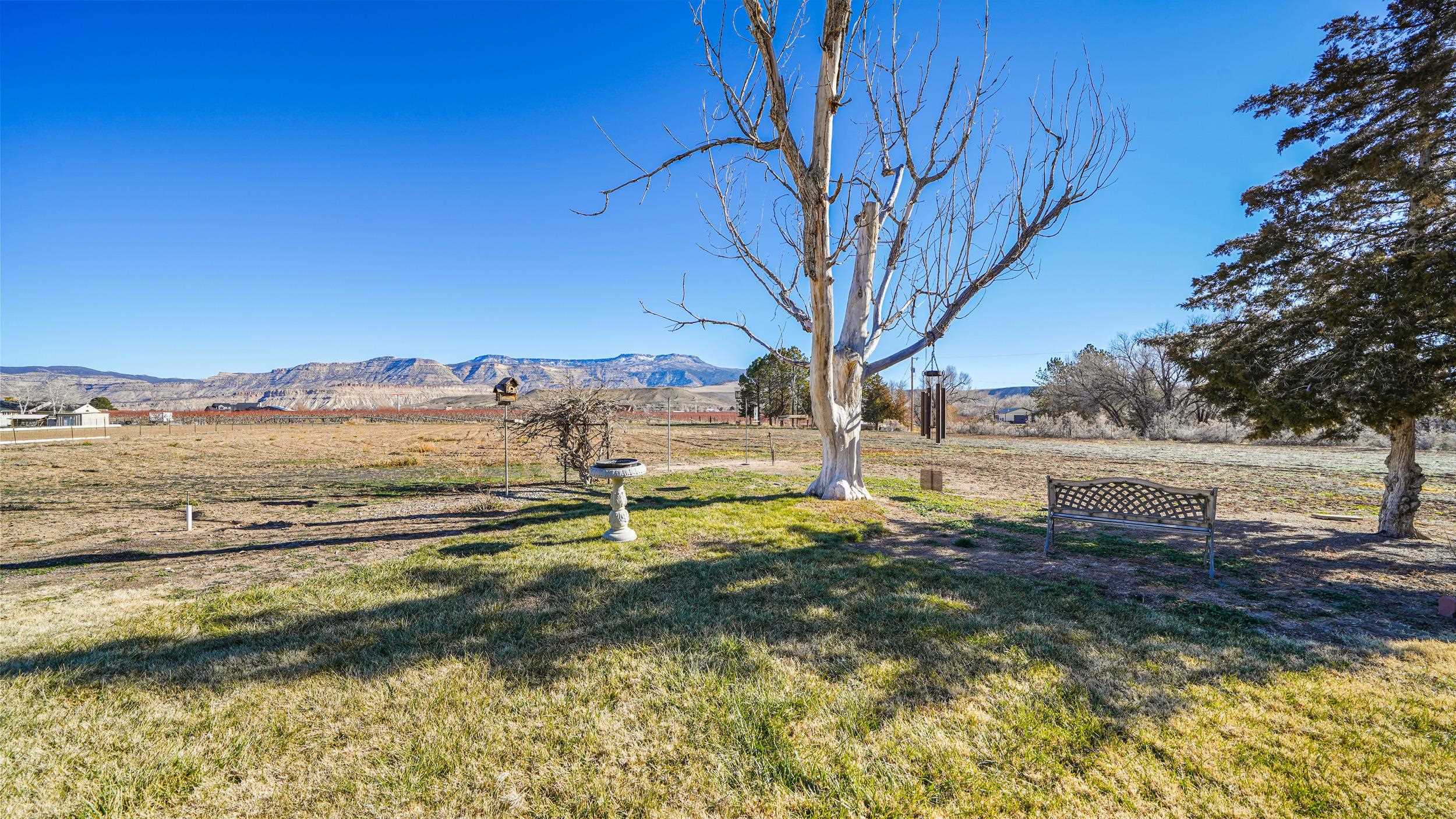 582 36 Road Palisade, CO 81526 - Photo 27 of 31 a view of lake with outdoor space
