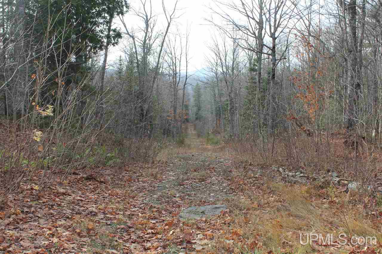 Tbd Tbd Off Mandan Loop Road Mohawk, MI 49950 - Photo 29 of 42