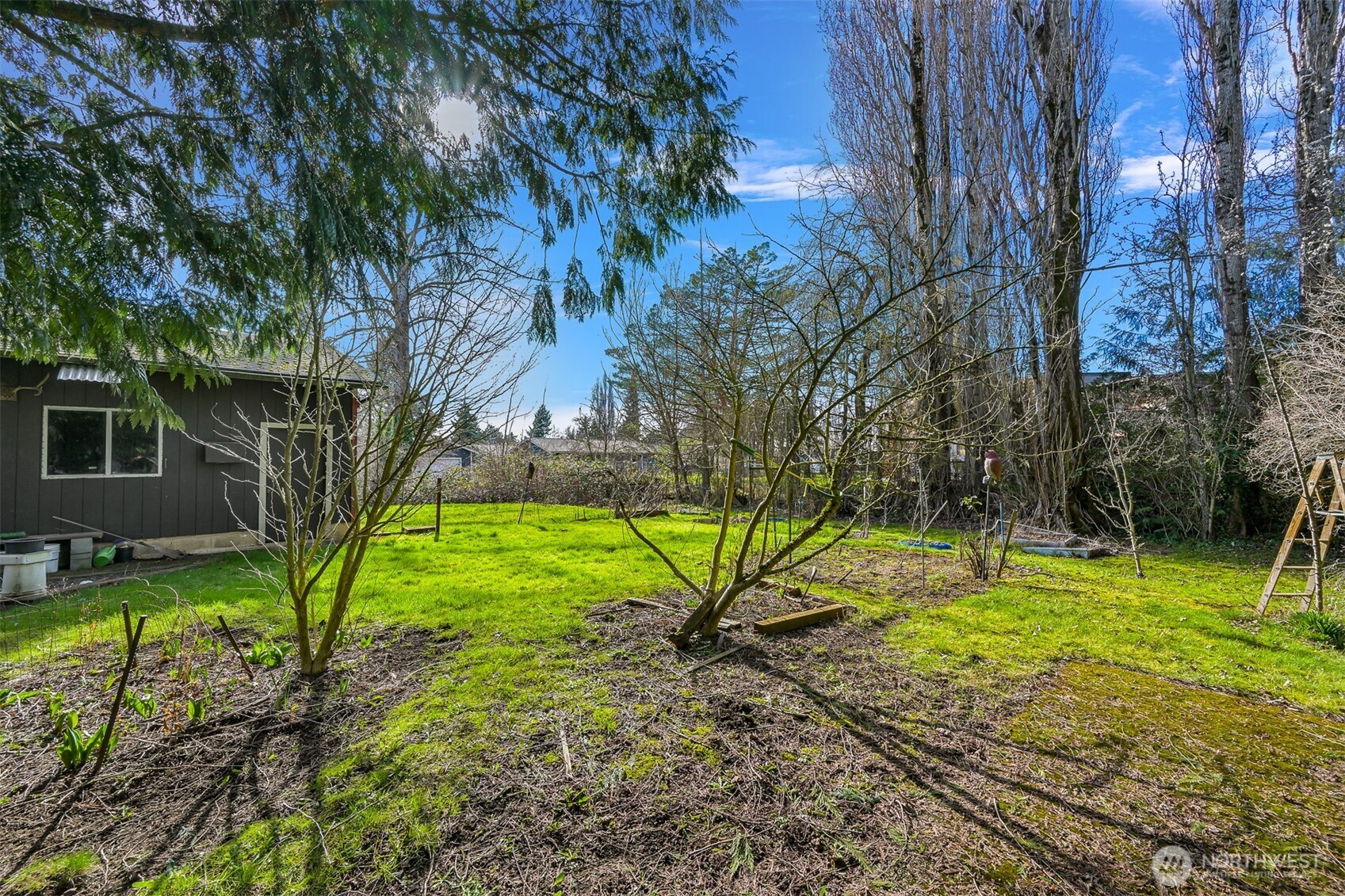 2701 Michigan Street Bellingham, WA 98226 - Photo 34 of 39 a view of a backyard with a tree