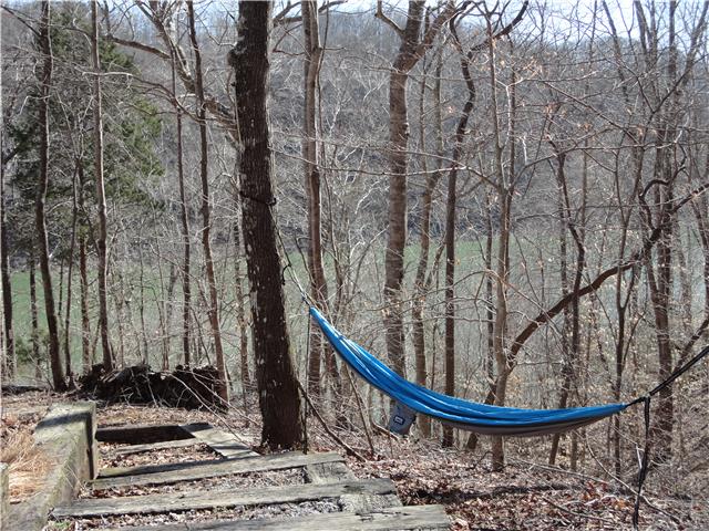 739 Aaron Webb Road Smithville, TN 37166 - Photo 13 of 15 Here is your hammock spot, in the shade, overlooking the lake.
