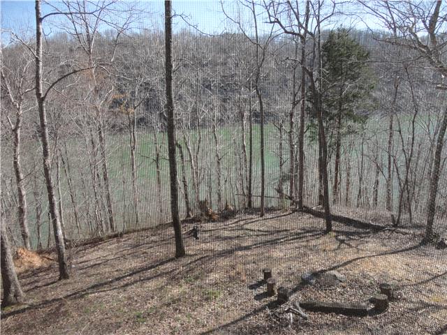 739 Aaron Webb Road Smithville, TN 37166 - Photo 14 of 15 View from your screened porch.