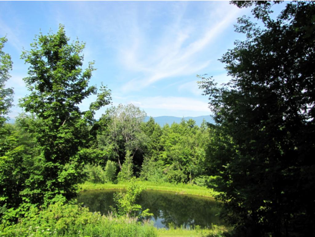 402 Valley View Road Waterbury, VT 05677 - Photo 29 of 33 Gallery Image 29