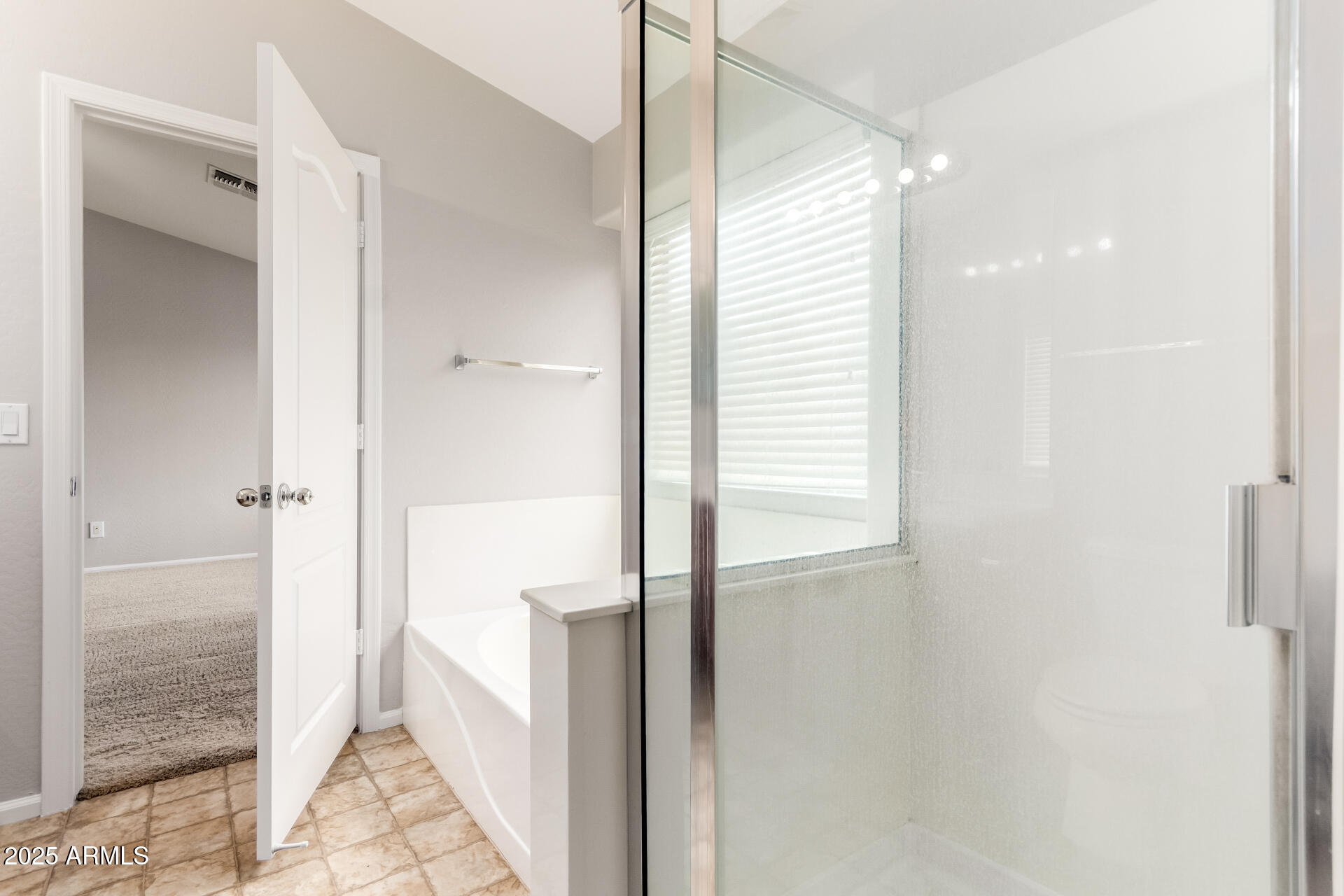 44865 West Woody Road Maricopa, AZ 85139 - Photo 19 of 36 19 Master Bathroom