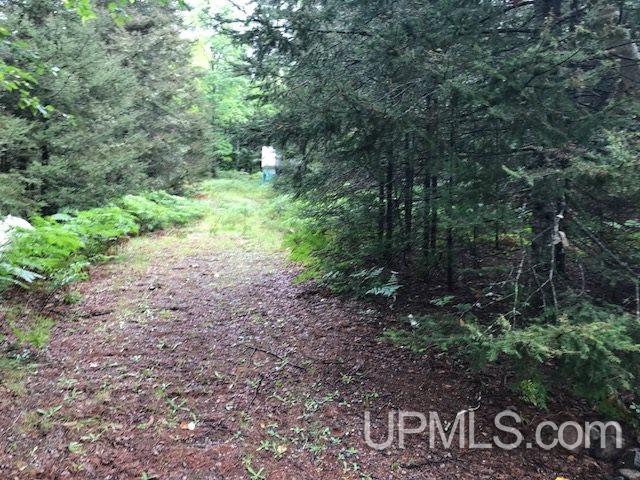 3168 Co Road Champion, MI 49814 - Photo 25 of 43