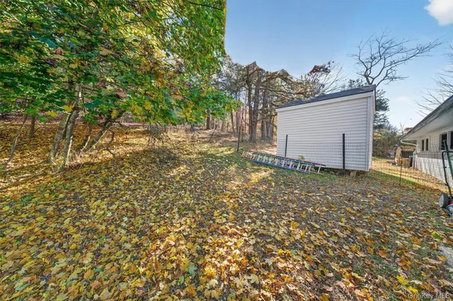 a view of a tree with a tree