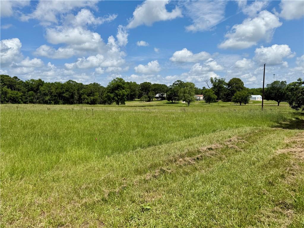 0 Robinson Bridge Road Lecompte, LA 71346 - Photo 3 of 3