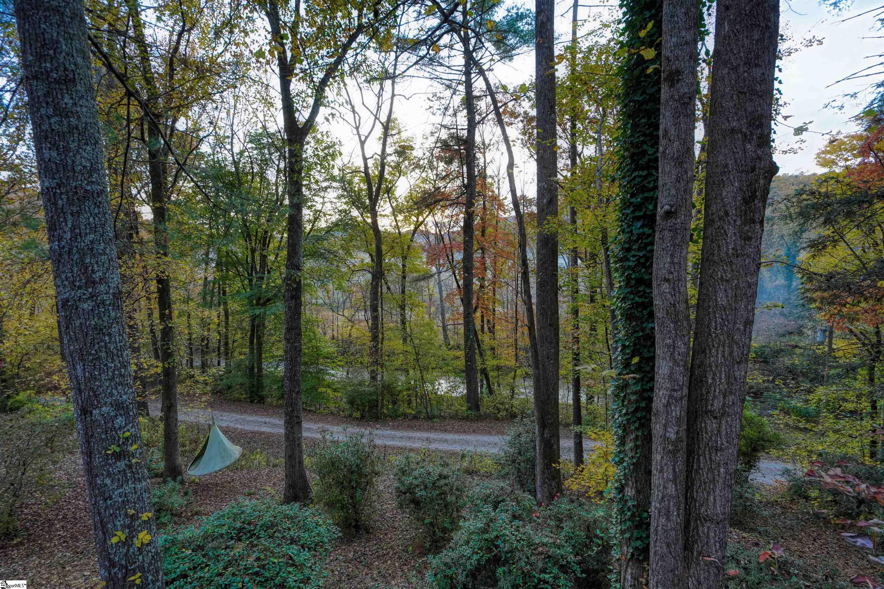 206 Gap Creek Road Marietta, SC 29661 - Photo 28 of 36 Gallery Image 28