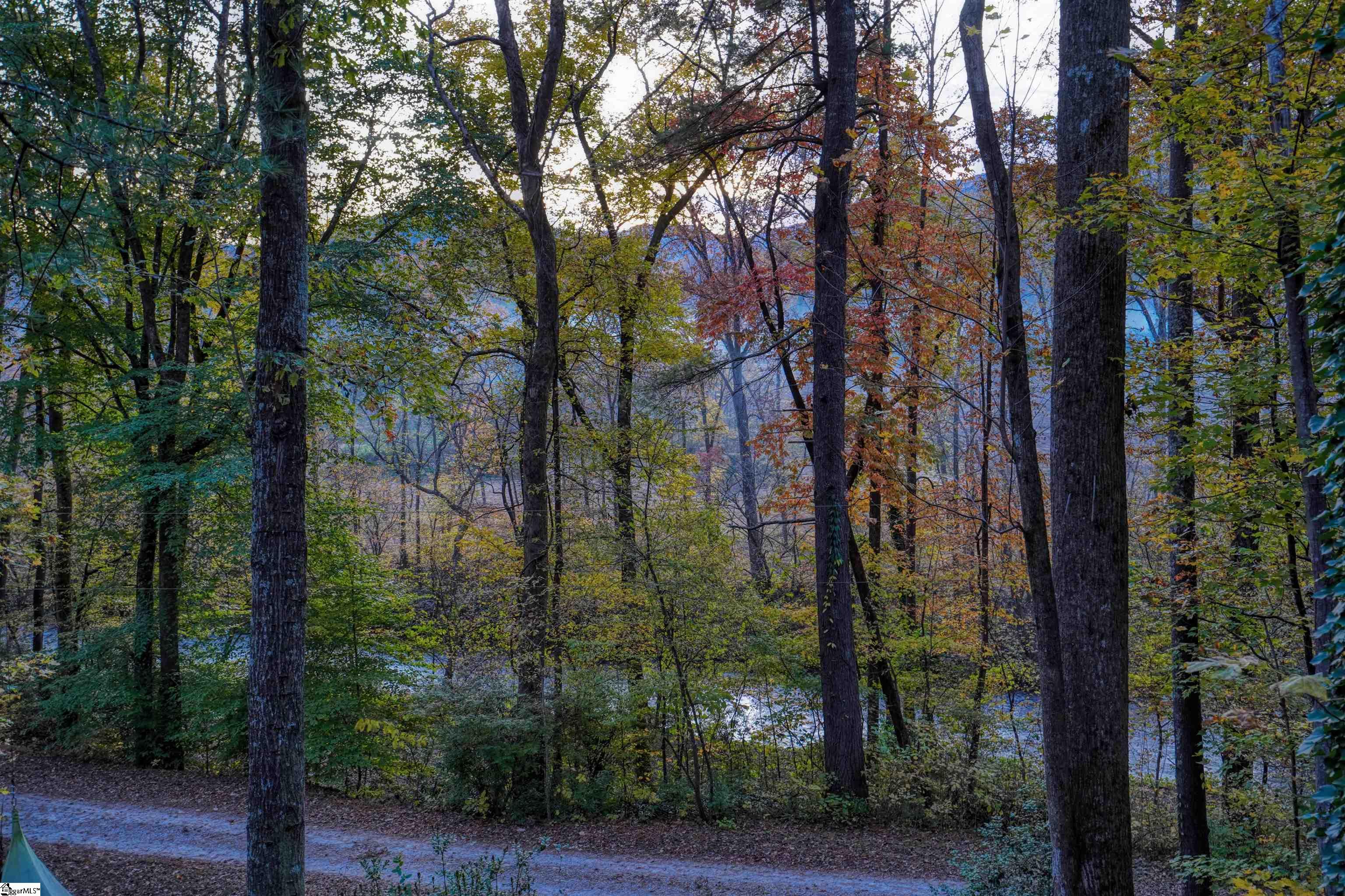 206 Gap Creek Road Marietta, SC 29661 - Photo 29 of 36 Gallery Image 29