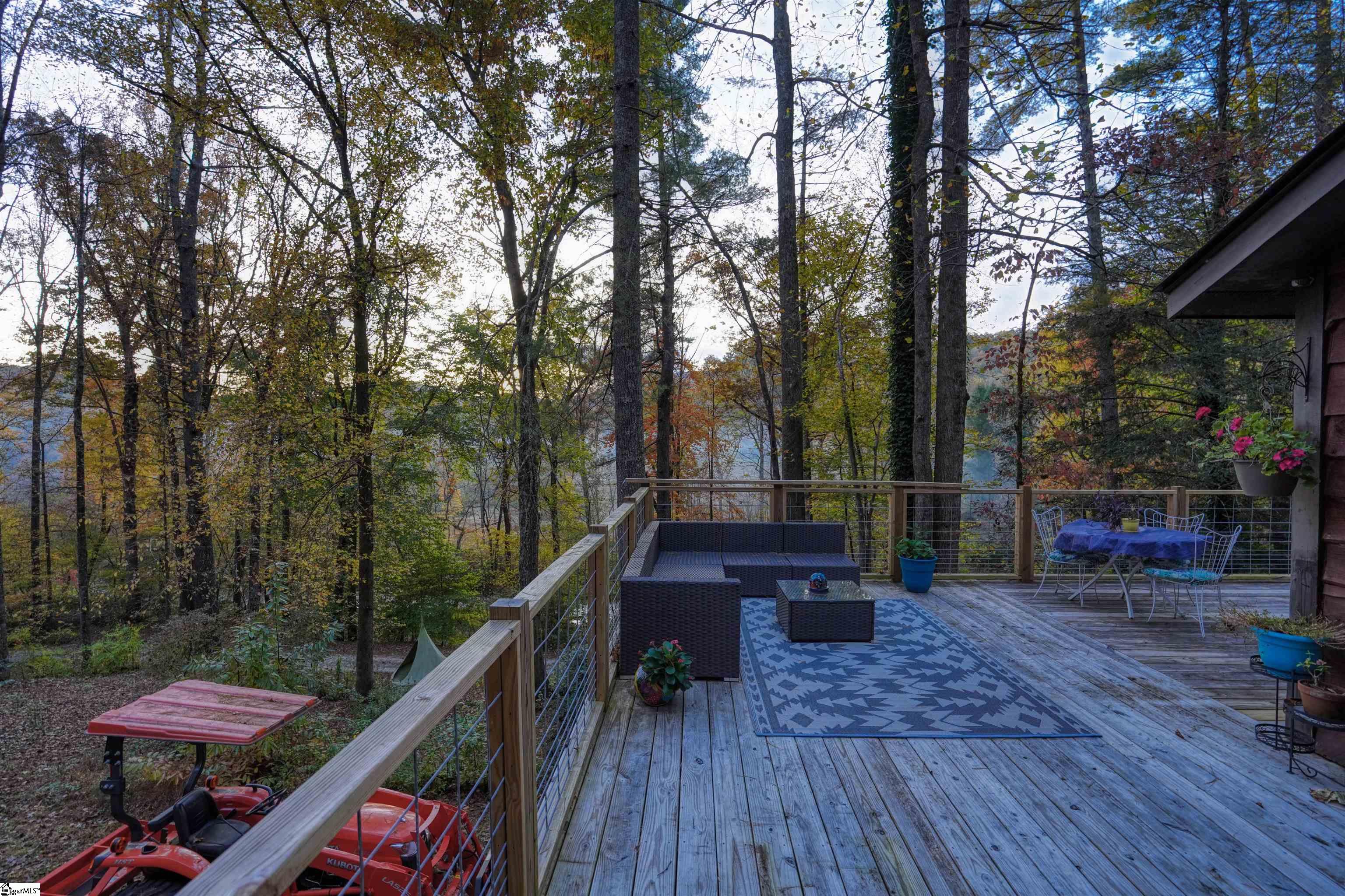 206 Gap Creek Road Marietta, SC 29661 - Photo 8 of 36 Gallery Image 8