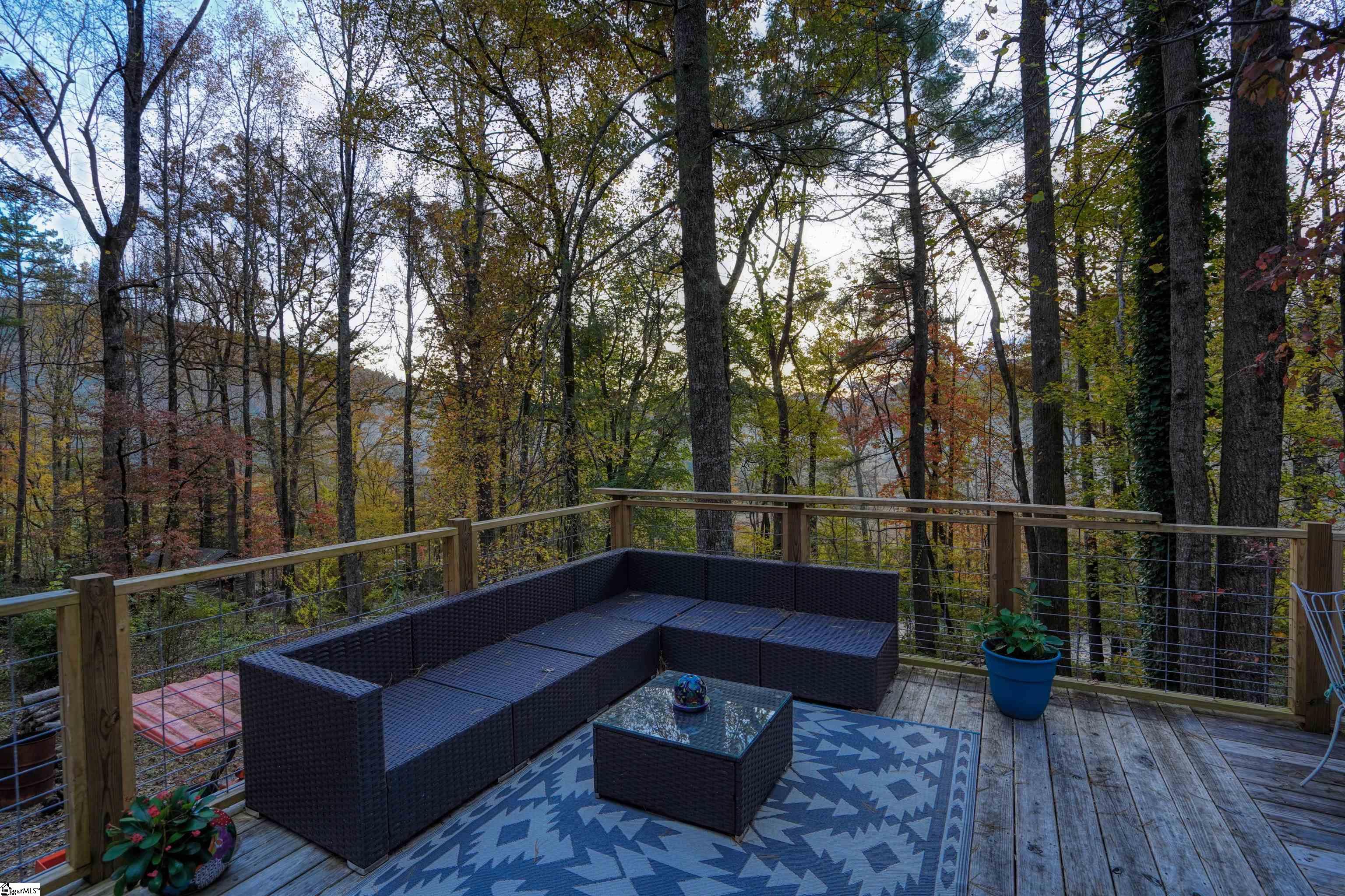 206 Gap Creek Road Marietta, SC 29661 - Photo 9 of 36 Gallery Image 9