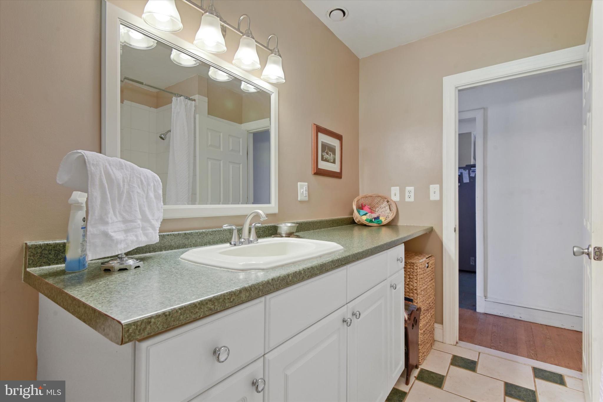 6953 Linganore Road Frederick, MD 21701 - Photo 26 of 42 Main Level Full Bath, photo #2