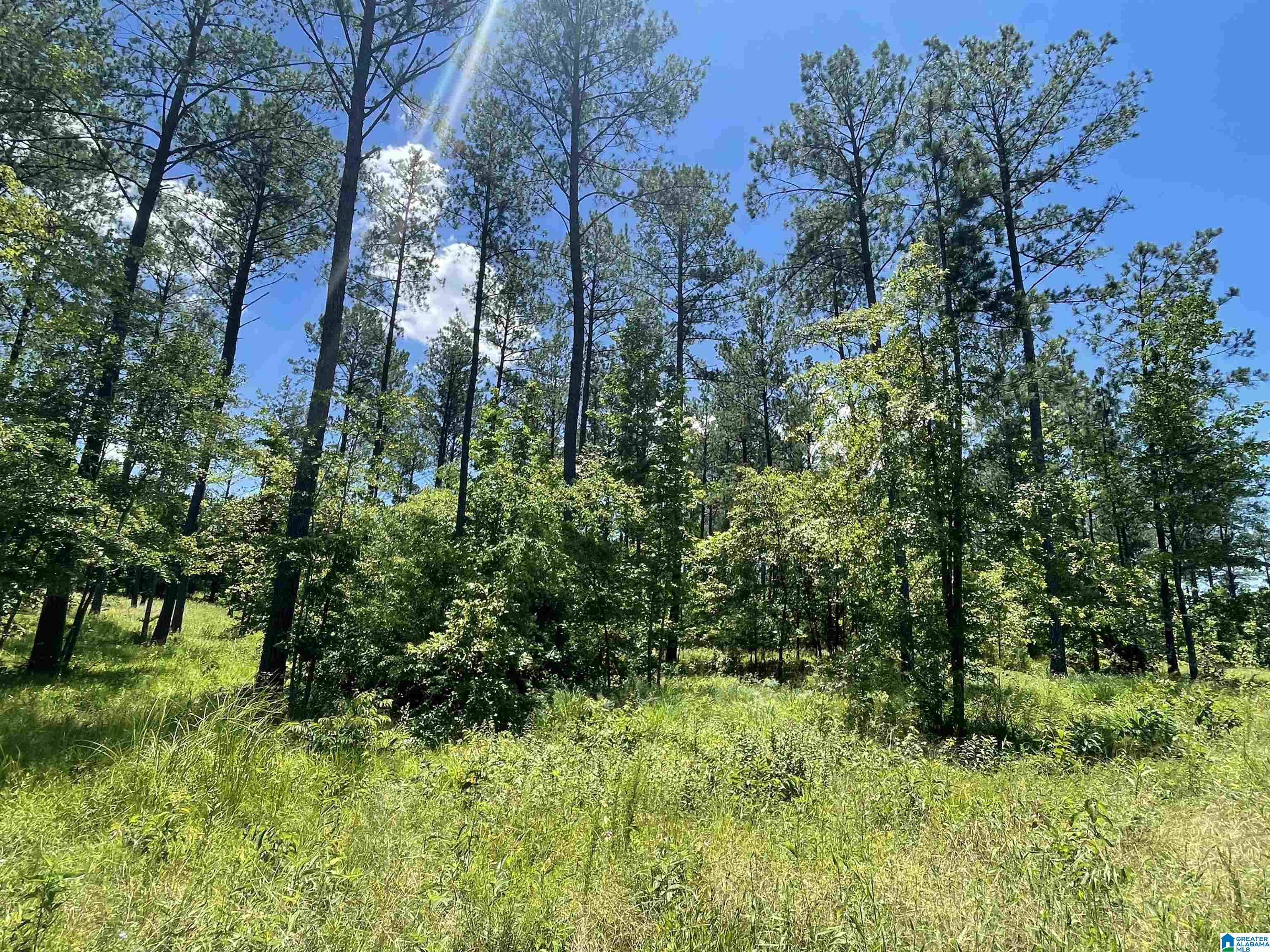 0 Chelsea Farms Road, Unit 24 Chelsea, AL 35043 - Photo 6 of 37