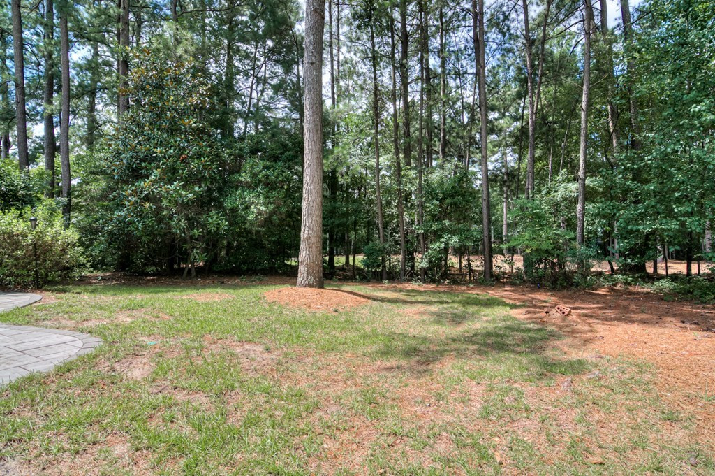 214 Boxwood Road Aiken, SC 29803 - Photo 23 of 26 Backyard