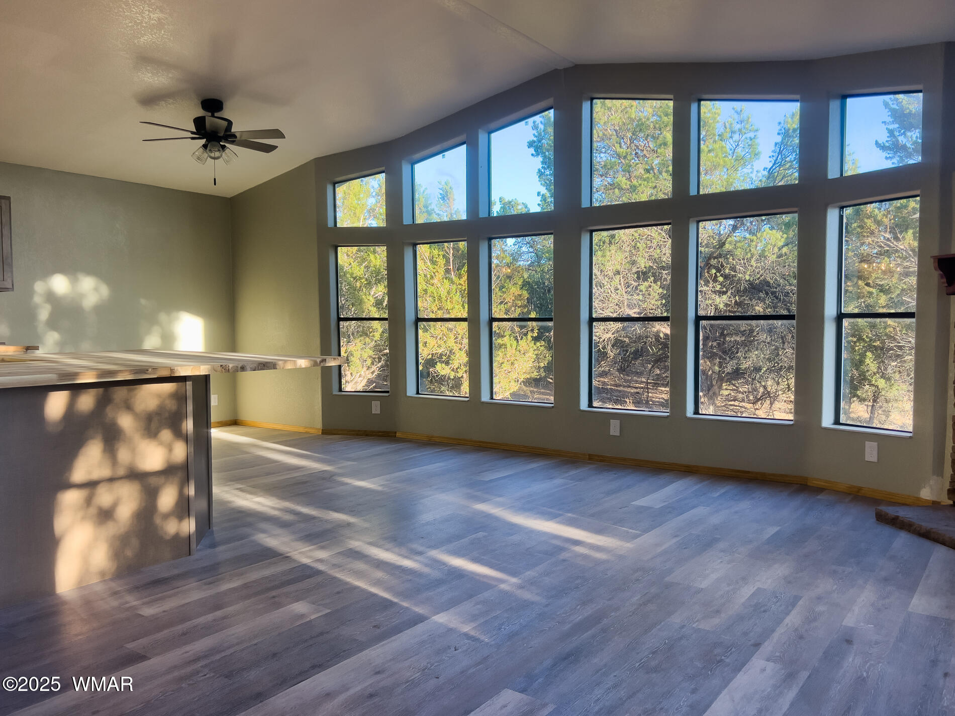 2 County Road 3581 Show Low, AZ 85901 - Photo 12 of 20 vernon-314