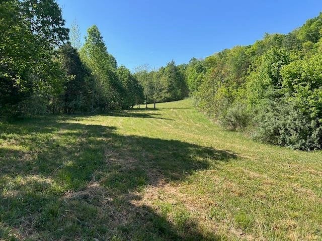 0 Mt Tussell Road Knifley, KY 42753 - Photo 38 of 46 Gallery Image 38