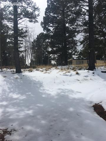416 Alpine View Road Divide, CO 80814 - Photo 20 of 36 Gallery Image 20