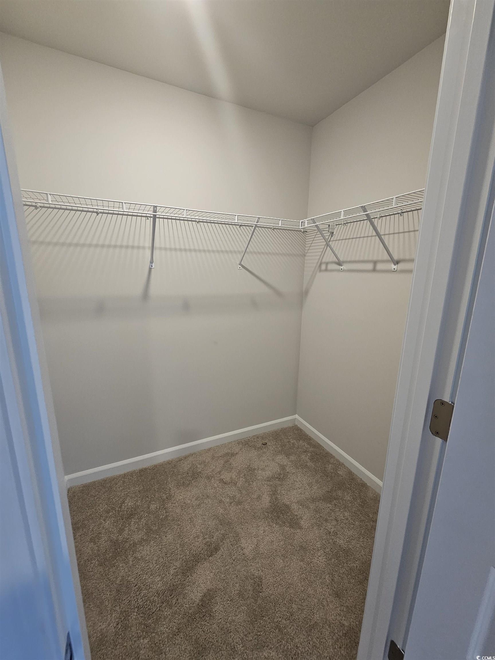 800 Wapama Street Little River, SC 29566 - Photo 20 of 34 Spacious closet featuring carpet