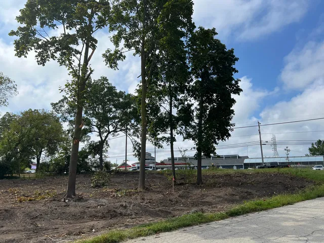 $295,000 | Lt0 Douglas Avenue, Caledonia, WI 53402