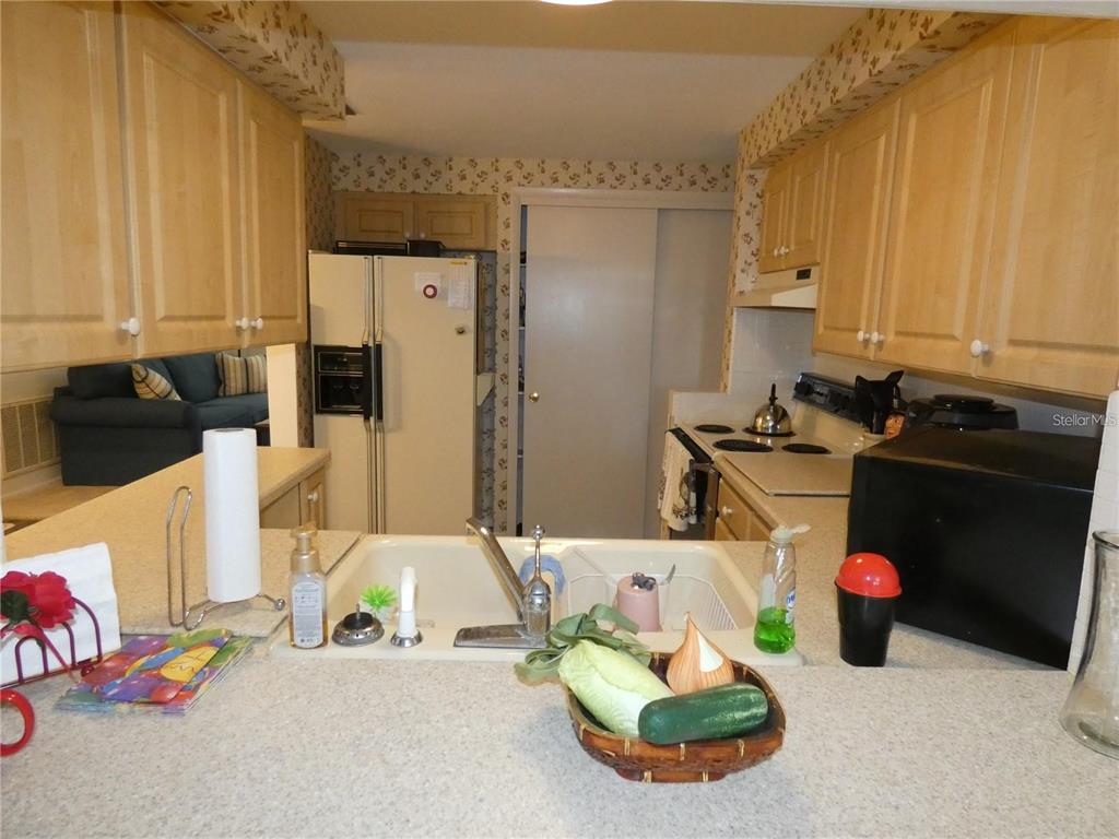 4392 Craftsbury Drive New Port Richey, FL 34652 - Photo 7 of 41 a kitchen with a sink a refrigerator and a stove top oven