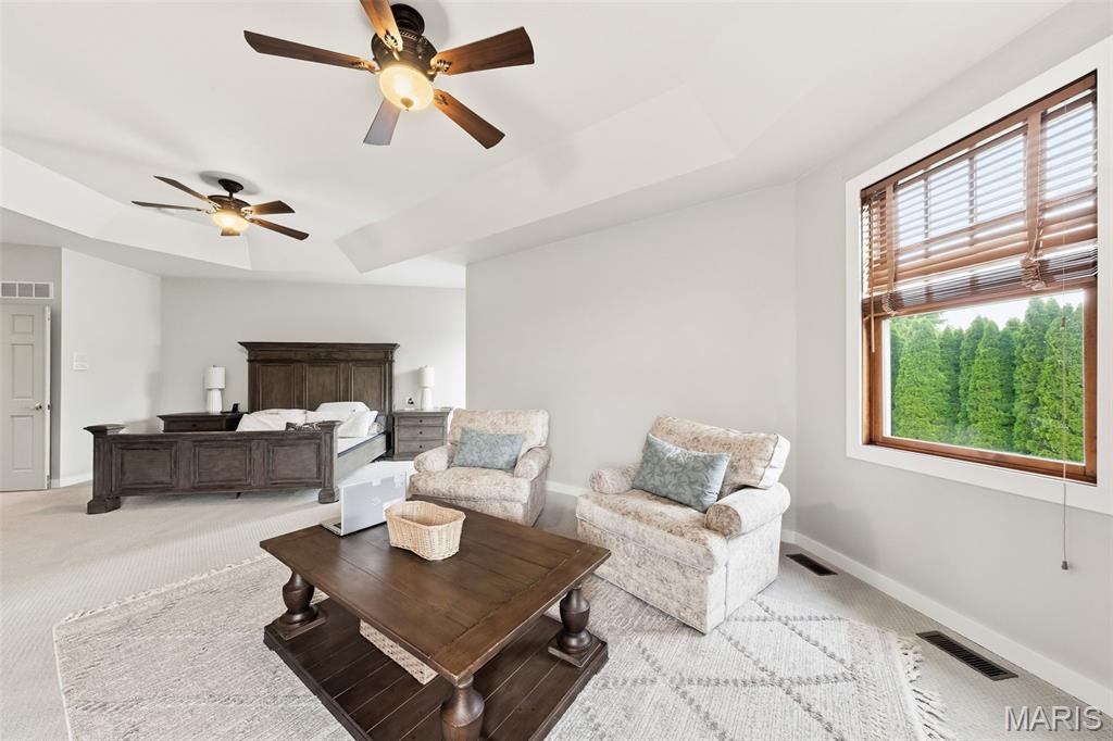 823 Ridge Road Waterloo, IL 62298 - Photo 29 of 97