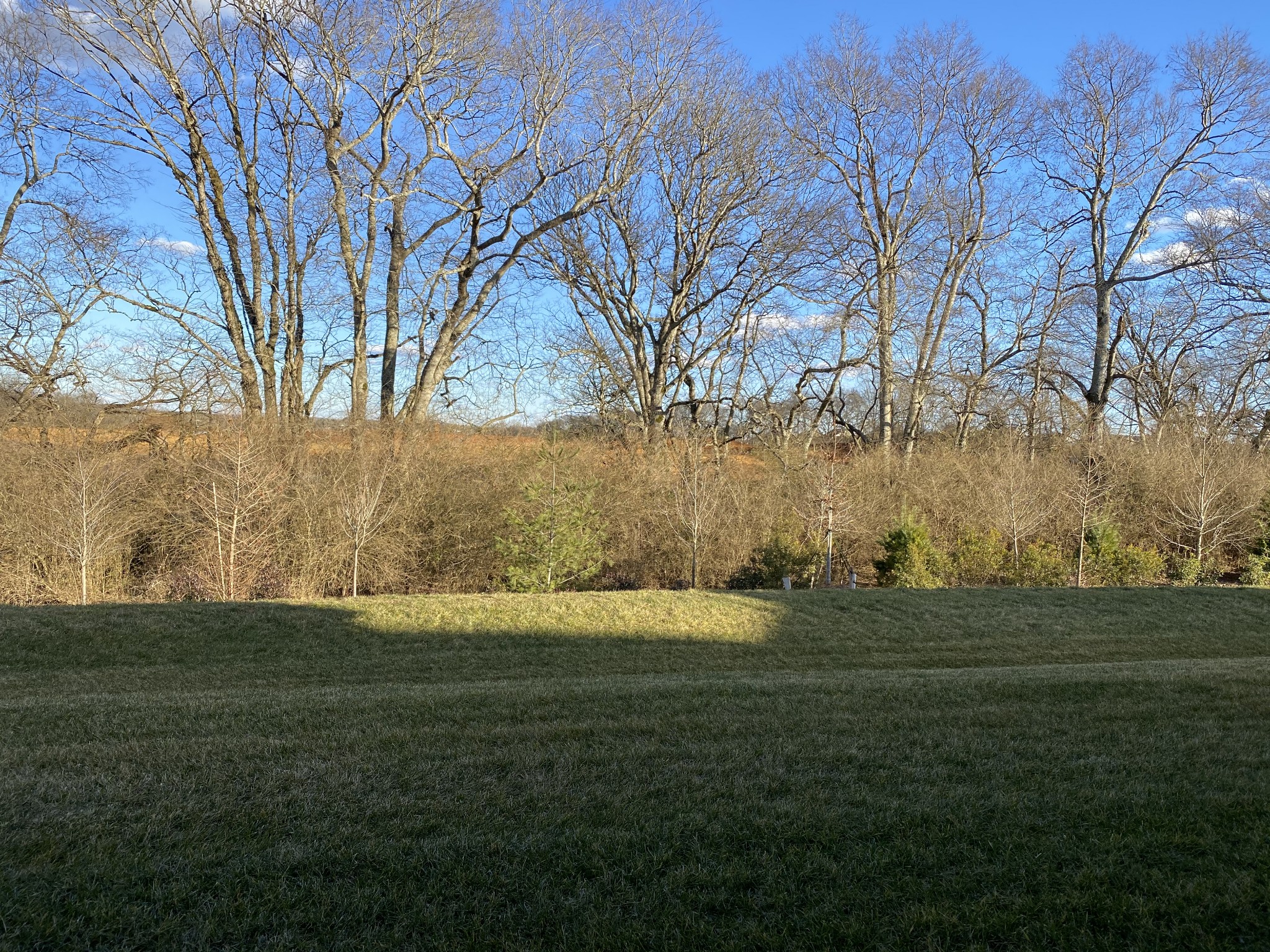 1010 Coffee Ridge Spring Hill, TN 37174 - Photo 36 of 48 Gallery Image 36