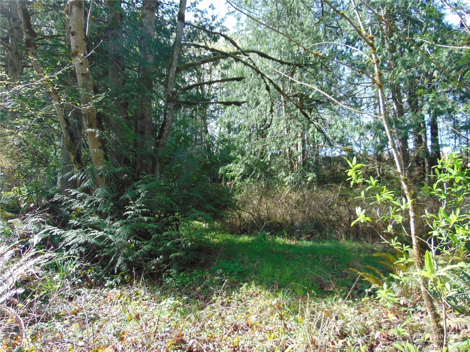 3001 Chicken Coop Road Sequim, WA 98382 - Photo 1 of 26 Gallery Image 1