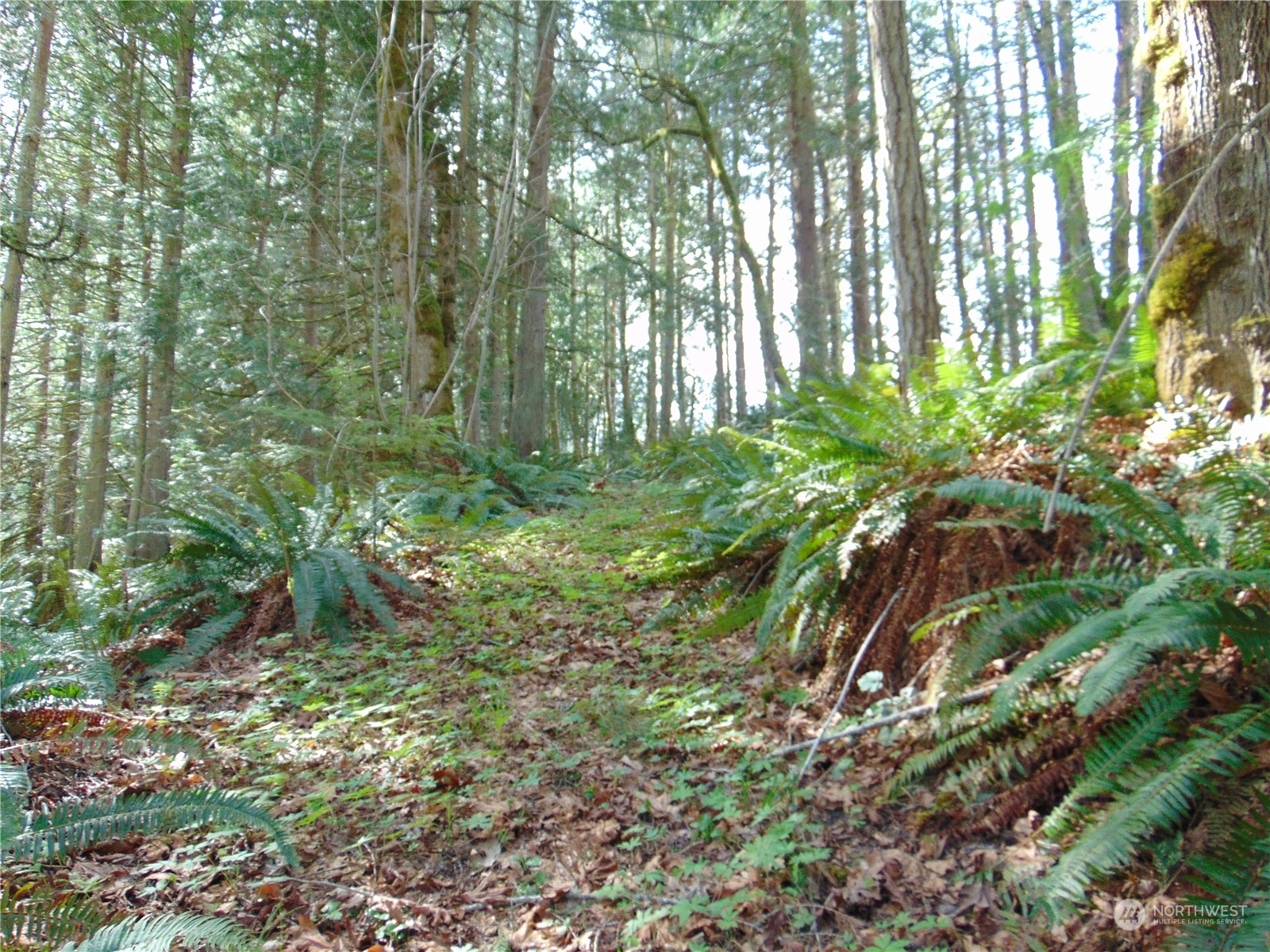 3001 Chicken Coop Road Sequim, WA 98382 - Photo 12 of 26 Gallery Image 12