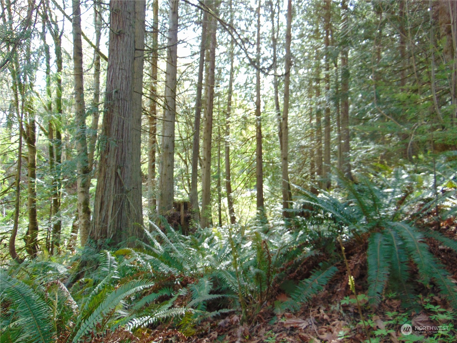3001 Chicken Coop Road Sequim, WA 98382 - Photo 13 of 26 Gallery Image 13