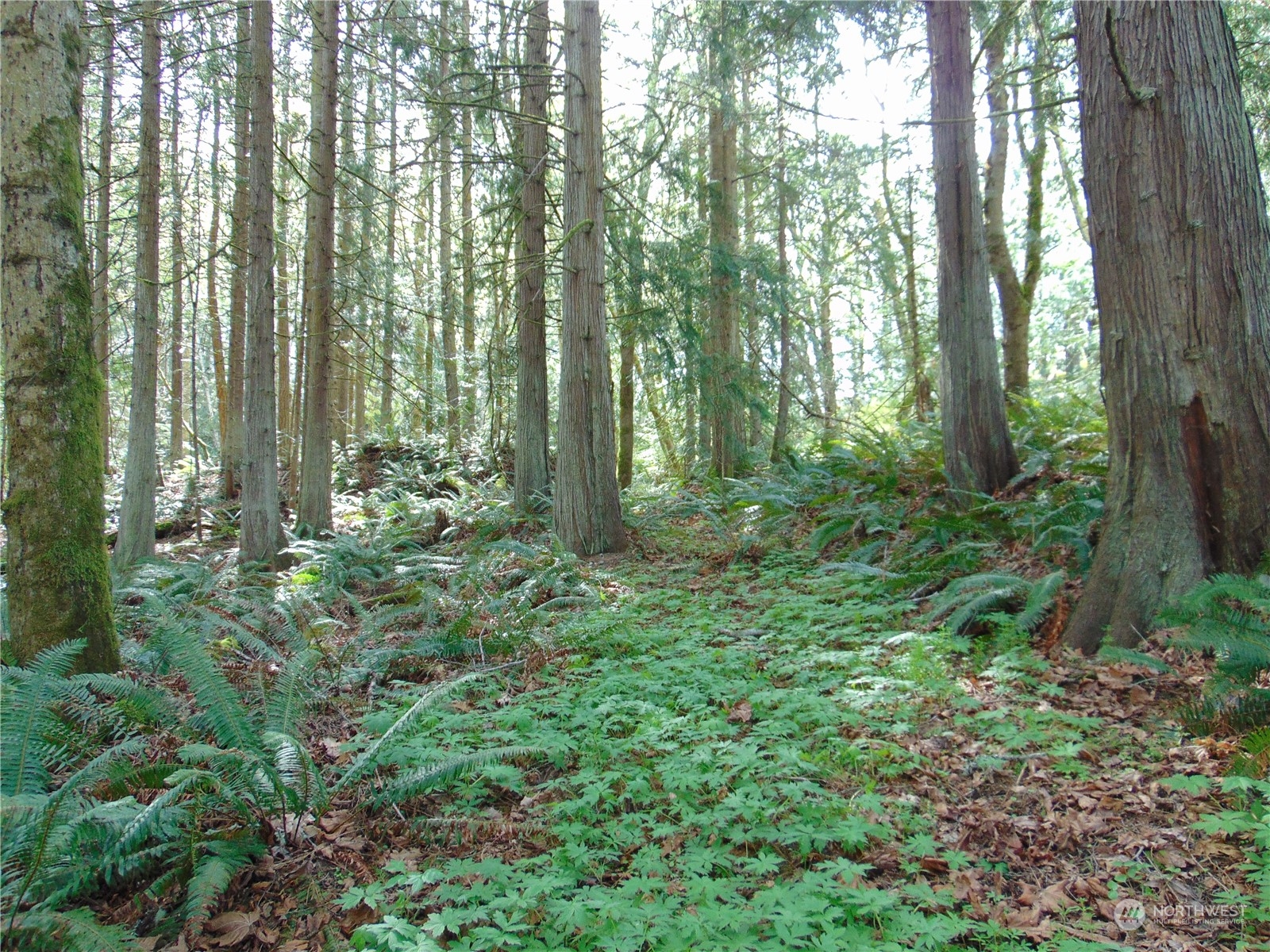3001 Chicken Coop Road Sequim, WA 98382 - Photo 16 of 26 Gallery Image 16